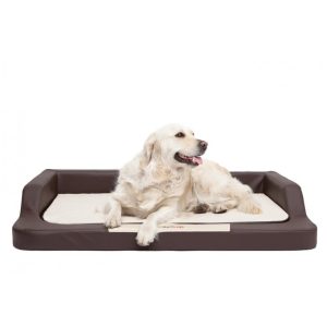 Hobby Dog Medico Lux hnedá s béžovým matracom s labradorom