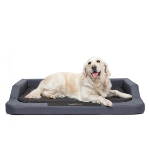 Hobby Dog Medico Standard sivá grafitová s labradorom