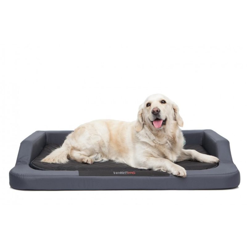 Hobby Dog Medico Standard sivá grafitová s labradorom
