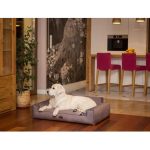 Hobby Dog pelech pre psa Glamour Fancy hnedá ukážka