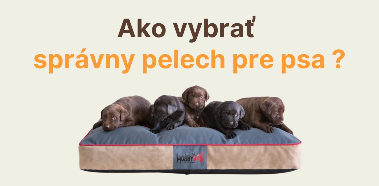 Ako vybrať správny pelech pre psa