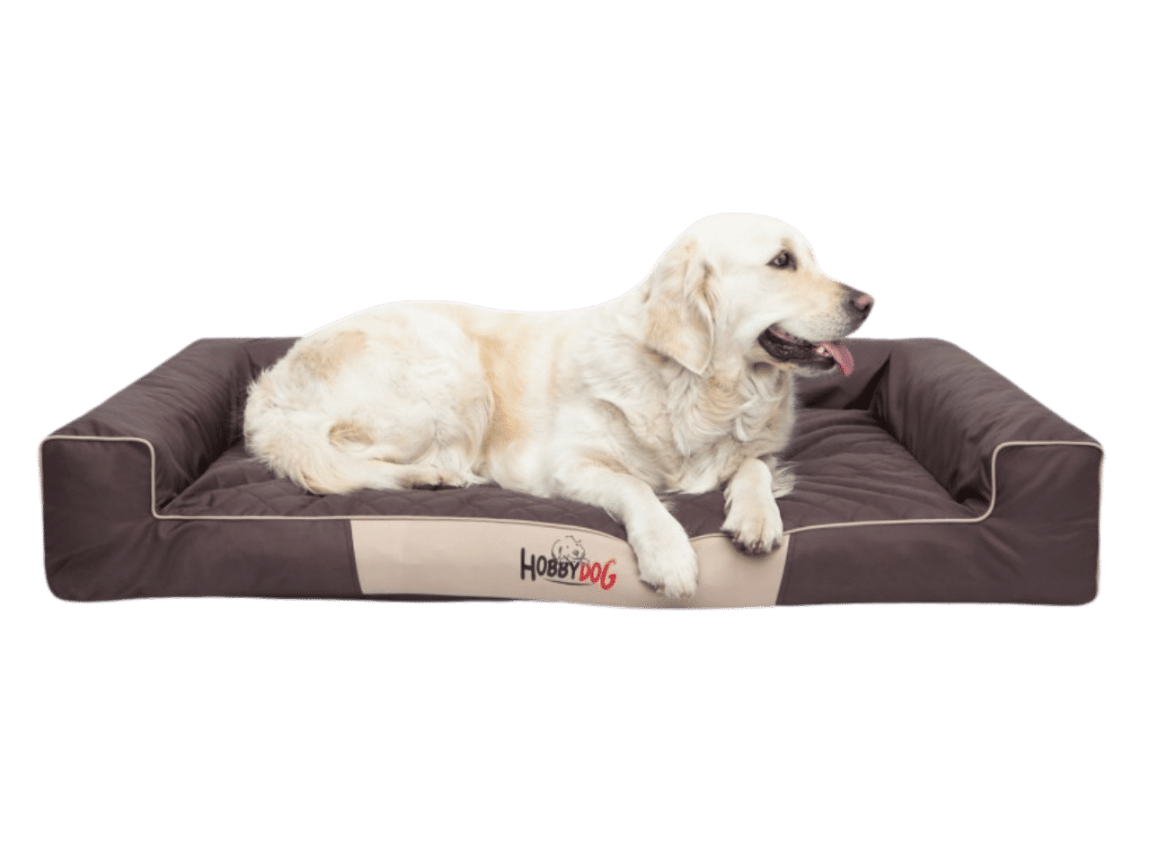 hobby dog pelech